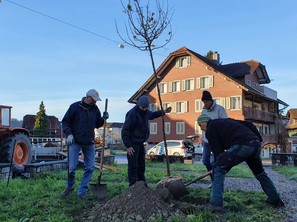 NVR-Jubiläumsprojekt «30 Bäume für Ruswil»